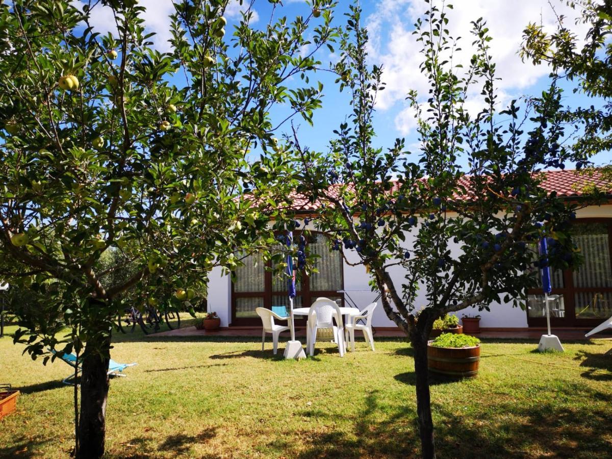 Agriturismo Valle Dei Venti Villa La Sdriscia Bagian luar foto