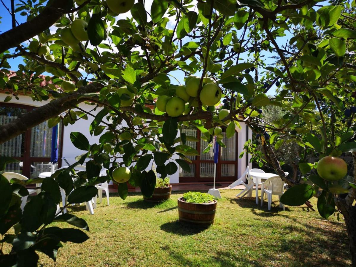 Agriturismo Valle Dei Venti Villa La Sdriscia Bagian luar foto