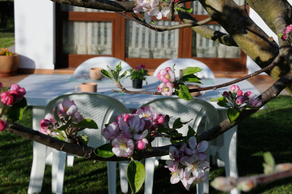 Agriturismo Valle Dei Venti Villa La Sdriscia Bagian luar foto